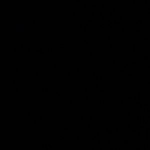 Meet your Posher, Liyahh